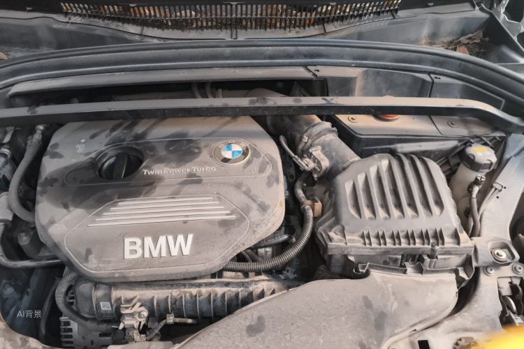 BMW X1 2017 car image #22