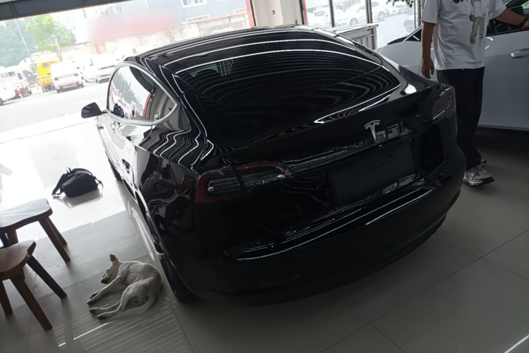 Tesla Model 3 2021 #5 Tesla Model 3 2021 car image #5