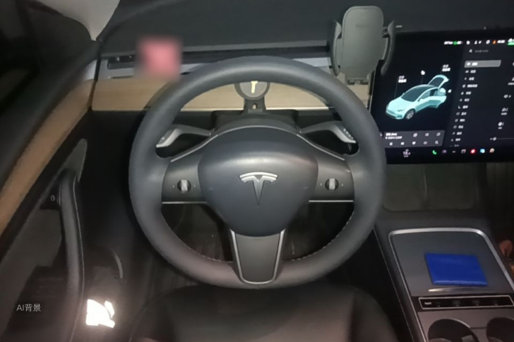 Tesla Model Y 2021 car image #12