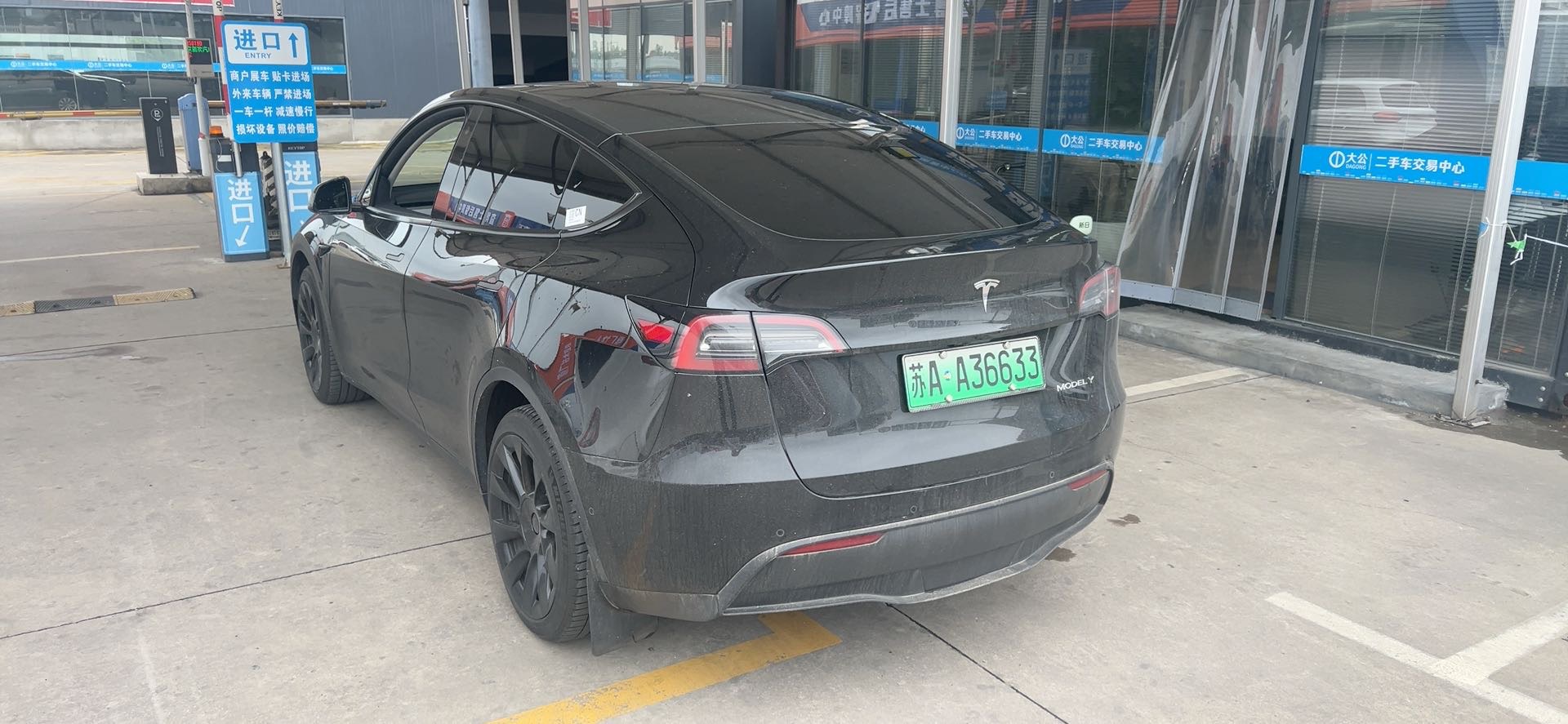 Tesla Model Y 2023 #6 Tesla Model Y 2023 car image #6