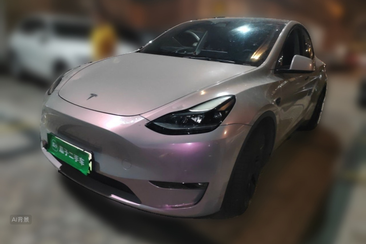 Tesla Model Y 2021 car image #2