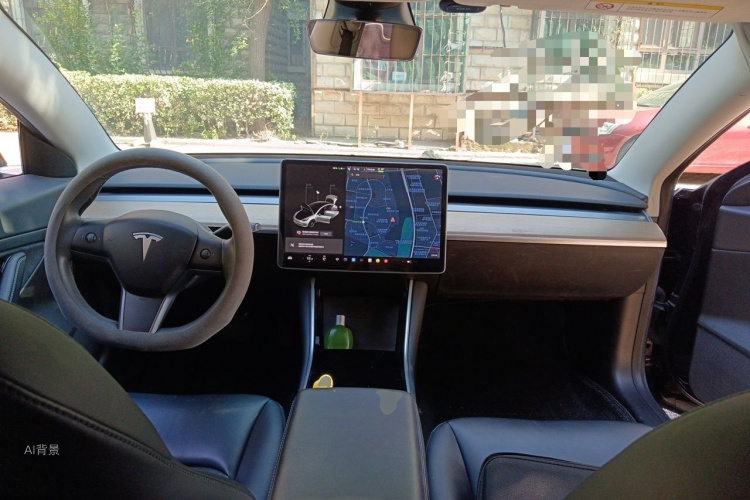Tesla Model 3 2020 car image #11