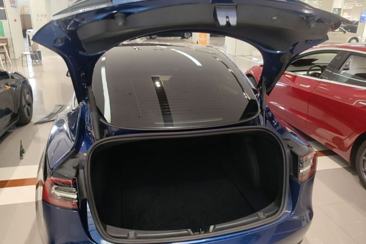 Tesla Model 3 2021 #19 Tesla Model 3 2021 car image #19