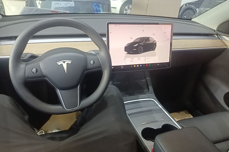 Tesla Model Y 2021 #10 Tesla Model Y 2021 car image #10
