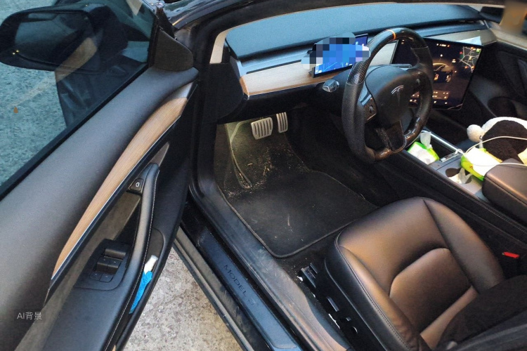 Tesla Model 3 2021 #18 Tesla Model 3 2021 صورة سيارة #18