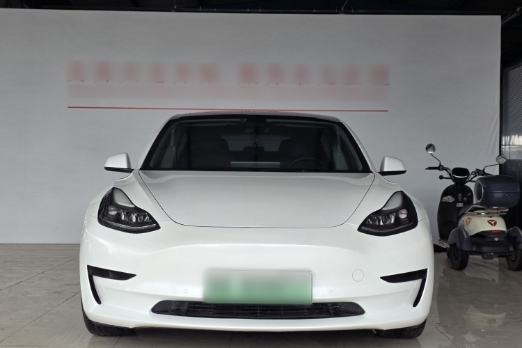 Tesla Model 3 2022 #3 Tesla Model 3 2022 car image #3