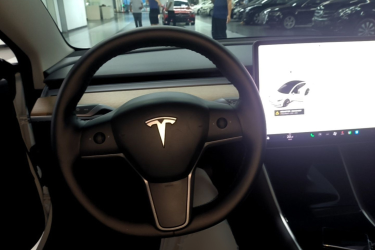 Tesla Model 3 2020 #11 Tesla Model 3 2020 car image #11