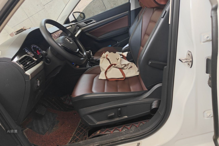 Volkswagen Lavida 2020 car image #17