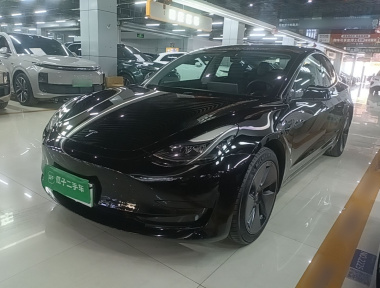 Tesla Model 3 2022 Tesla Model 3 2022 car image