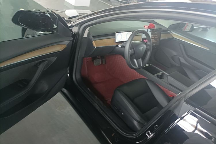 Tesla Model 3 2021 car image #16