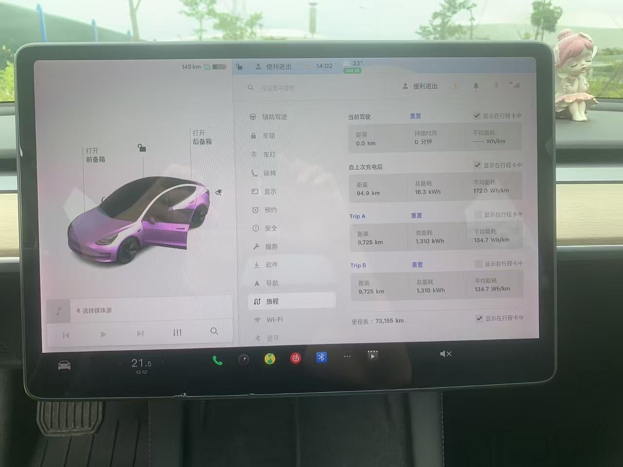 Tesla Model 3 2021 car image #9