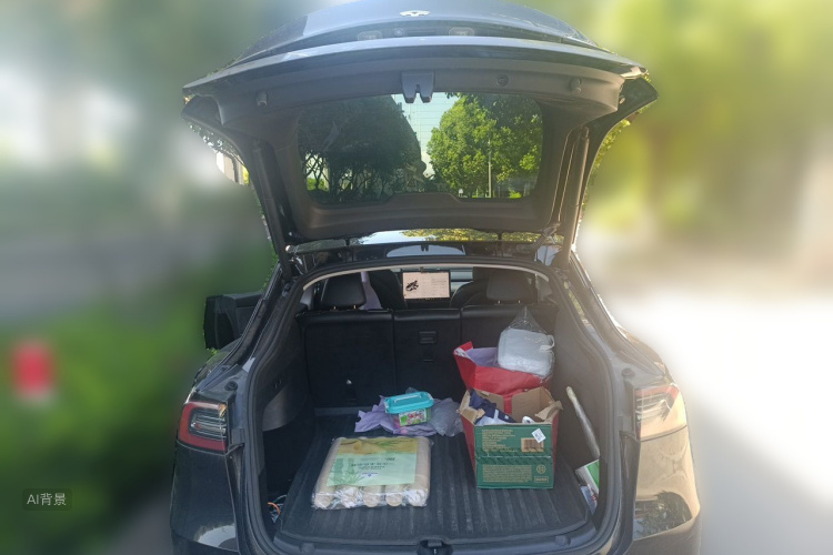 Tesla Model Y 2022 car image #21