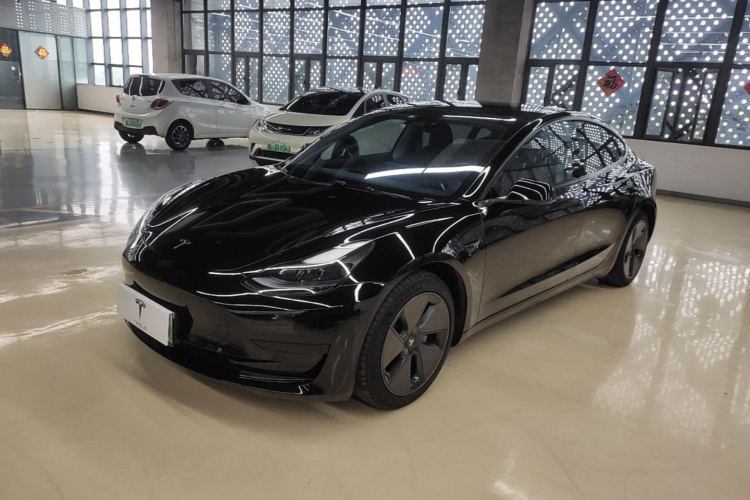 Tesla Model 3 2021 #2 Tesla Model 3 2021 car image #2