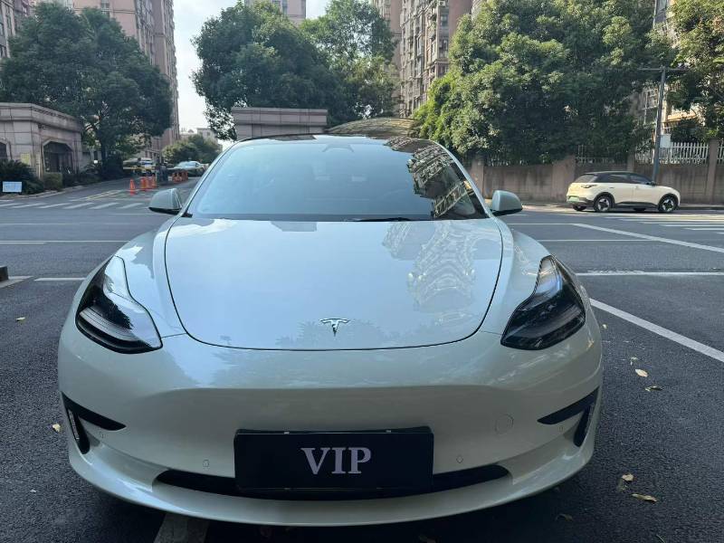 Tesla Model 3 2022 Tesla Model 3 2022 car image