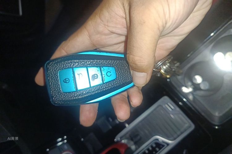 GEELY Emgrand GS 2020 car image #10