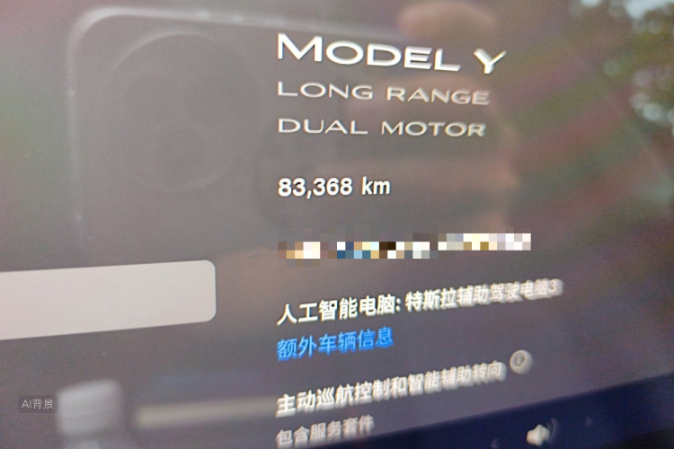 Tesla Model Y 2022 car image #14
