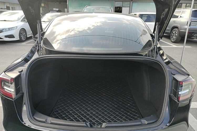 Tesla Model 3 2020 صورة سيارة #21