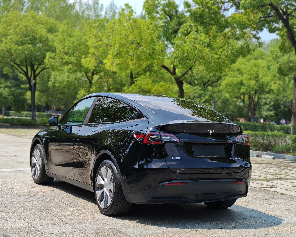 Tesla Model Y 2023 #7 Tesla Model Y 2023 car image #7