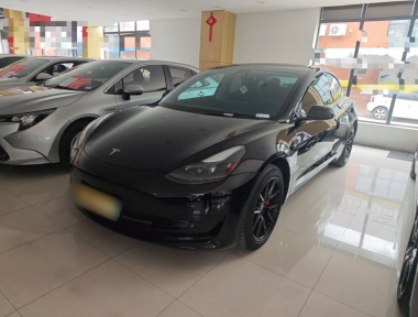 Tesla Model 3 2021 imagem de carro 