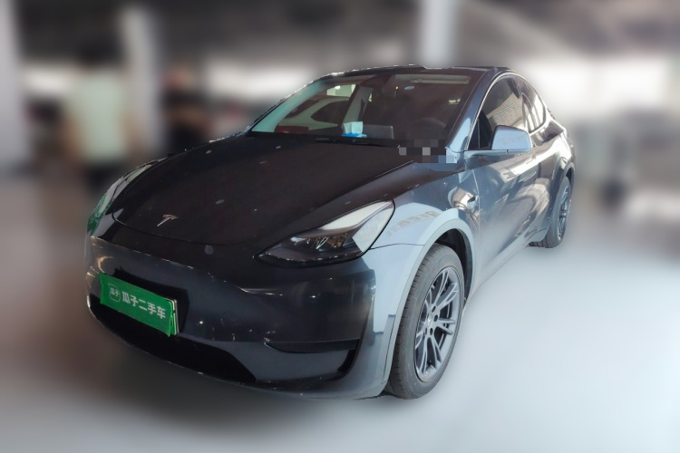 Tesla Model Y 2024 car image #2