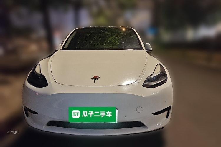 Tesla Model Y 2023 immagine di auto #3