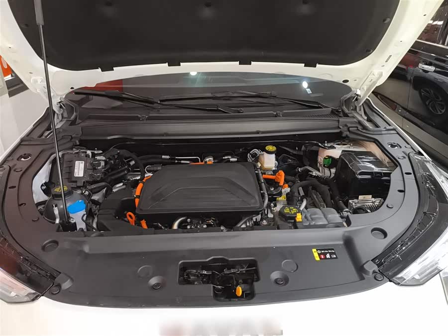 Haval Fierce Dragon 2024 car image #21