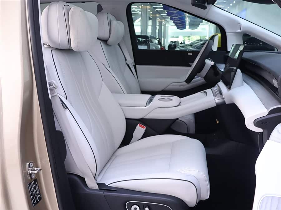 Xpeng X9 2024 immagine di auto #21