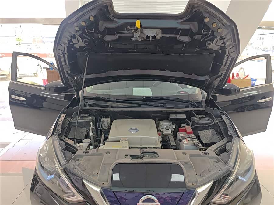 日产 轩逸·纯电 2020 汽车图片 #21