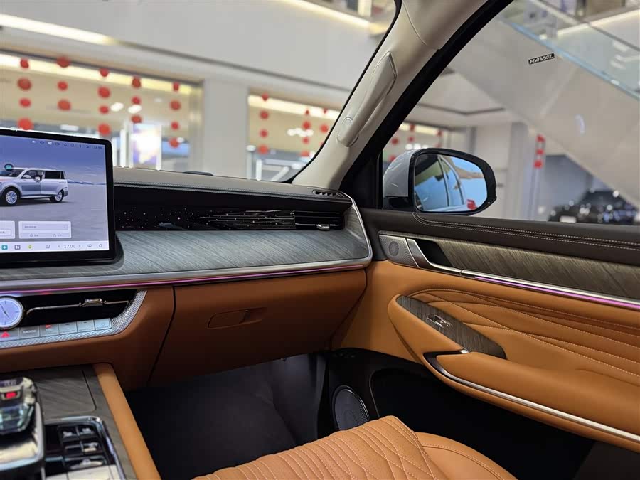 Tank 500 New Energy 2024 immagine di auto #21