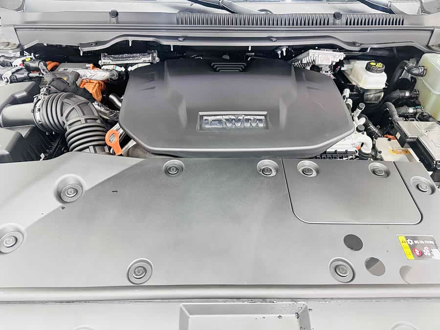 Tank 500 New Energy 2024 car image #21