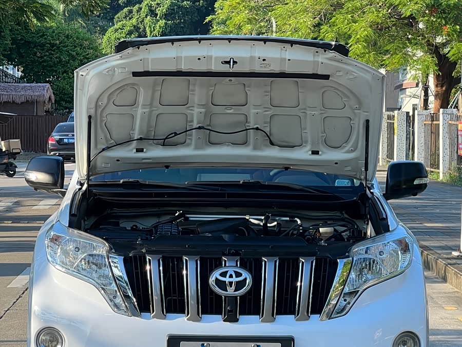 Toyota Prado (Imported) 2015 car image #21