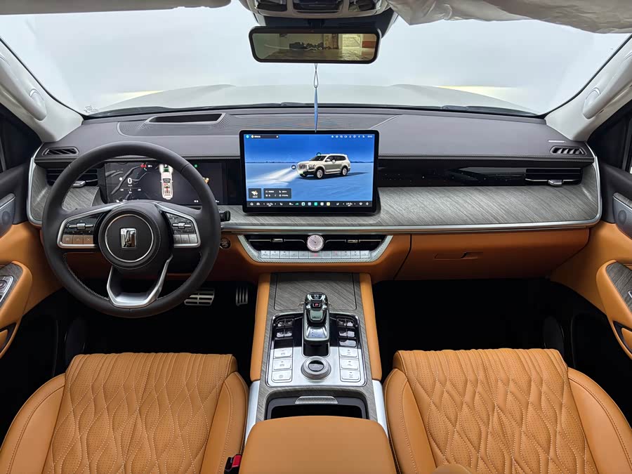 Tank 500 New Energy 2024 immagine di auto #21