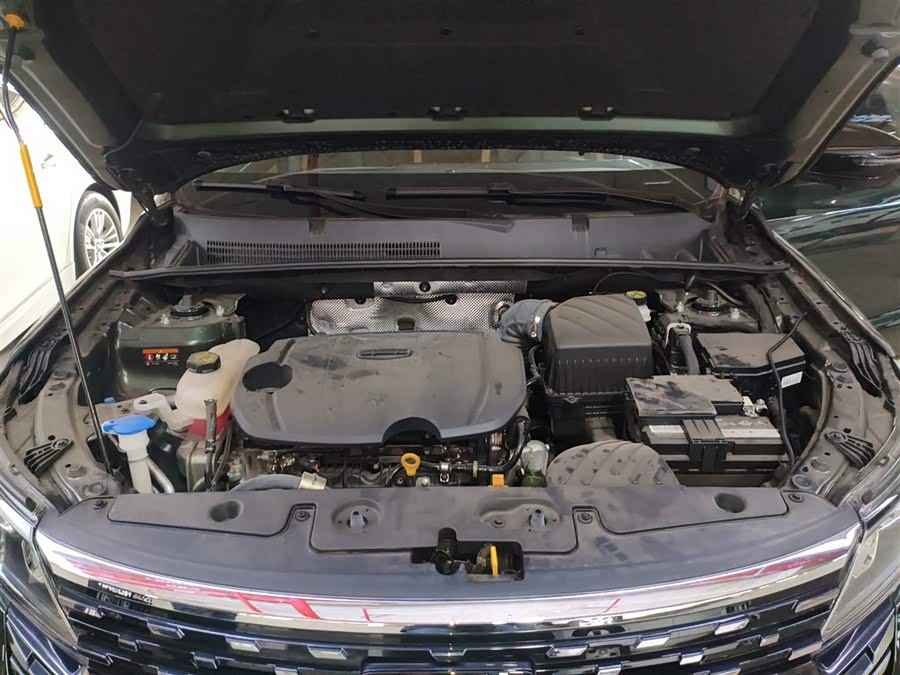 GEELY OkavangoPRO 2024 #21 GEELY OkavangoPRO 2024 car image #21