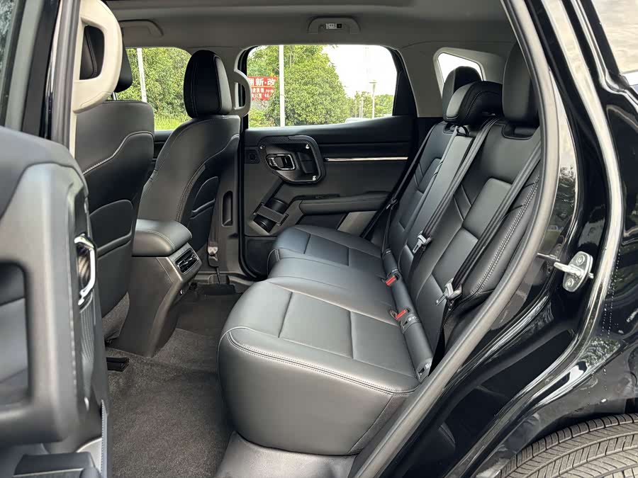 Haval X Dog 2 New Energy 2024 car image #21