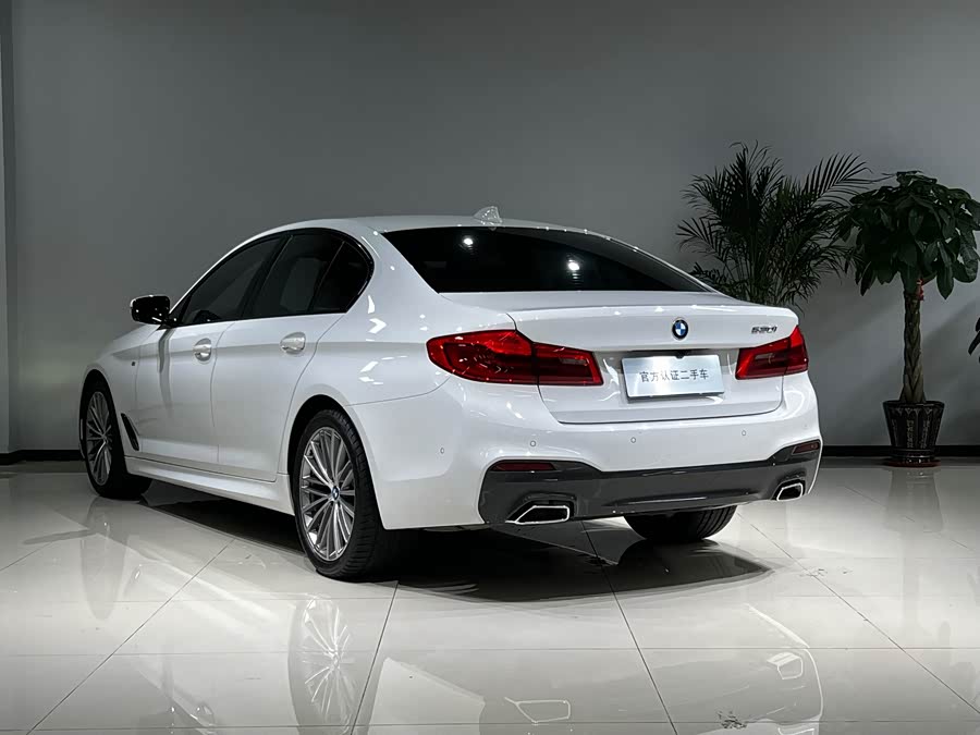 BMW 5 Series (Imported) 2019 #21 BMW 5 Series (Imported) 2019 car image #21