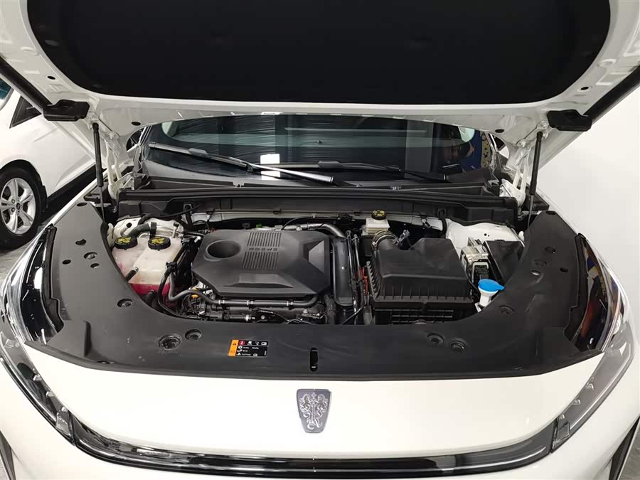 Roewe D5X DMH 2024 car image #21