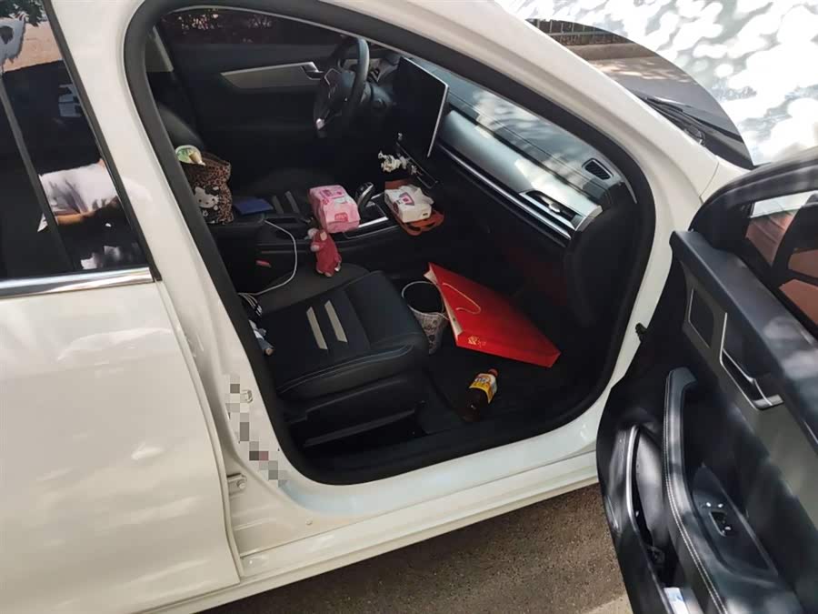 BYD Qin Pro 2019 car image #21