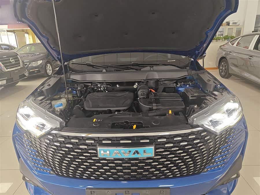 Haval H6 2022 #21 Haval H6 2022 изображение автомобиля #21