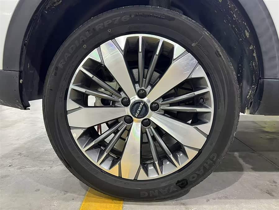 Haval F7x 2021 immagine di auto #21