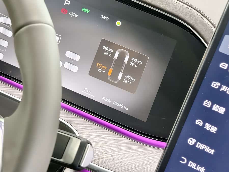 Denza N9 2025 car image #21