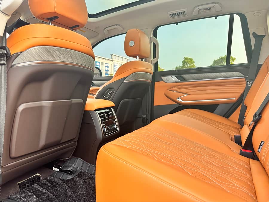 Tank 500 2022 imagen de coche #21