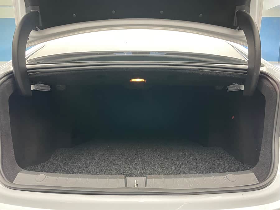 BYD Qin Pro New Energy 2020 immagine di auto #21