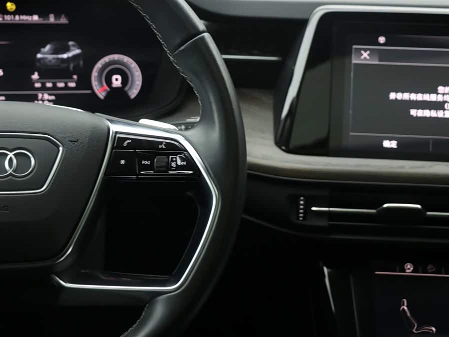 Audi Q6 2023 imagem de carro #21