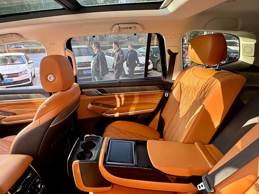 Tank 500 New Energy 2024 car image #21