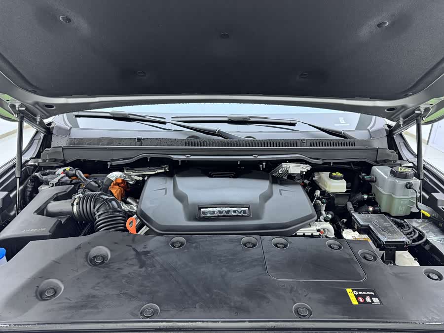 Tank 500 New Energy 2025 immagine di auto #21