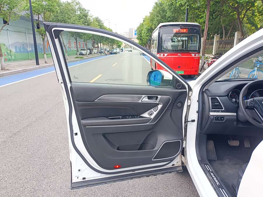 Haval H6 Coupe 2018 car image #21