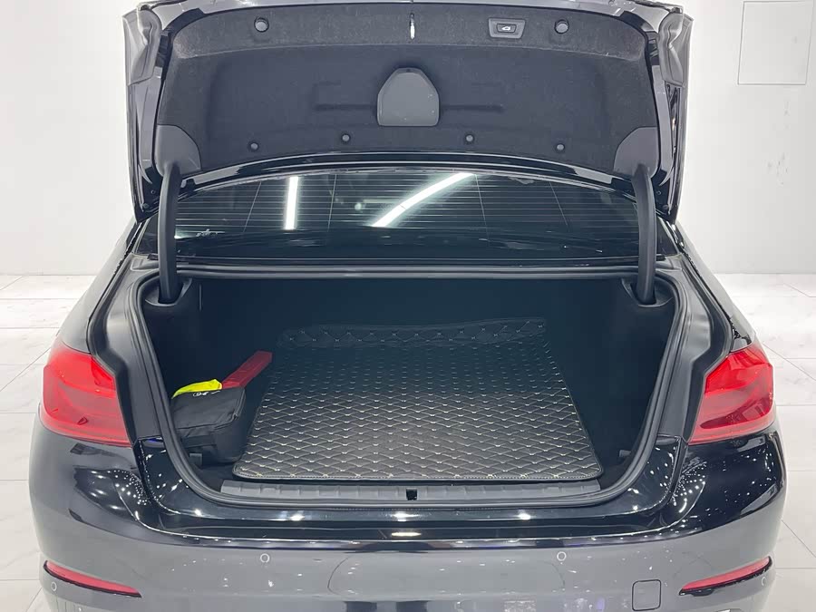 宝马 宝马5系新能源 2019 汽车图片 #21