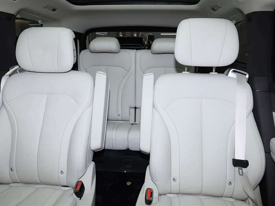 Denza N9 2025 car image #21