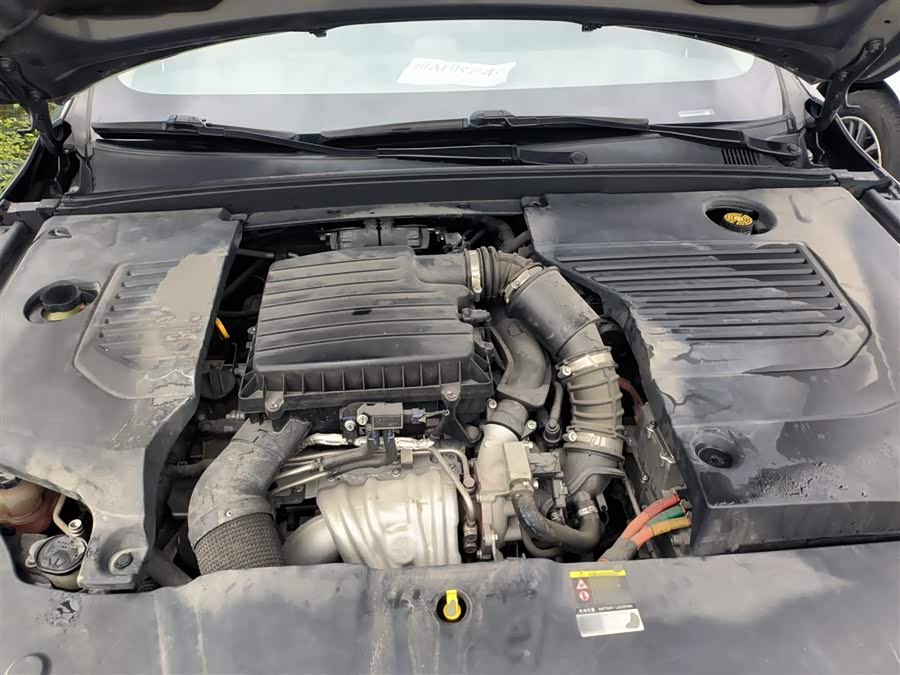 BYD Qin Pro New Energy 2020 immagine di auto #21