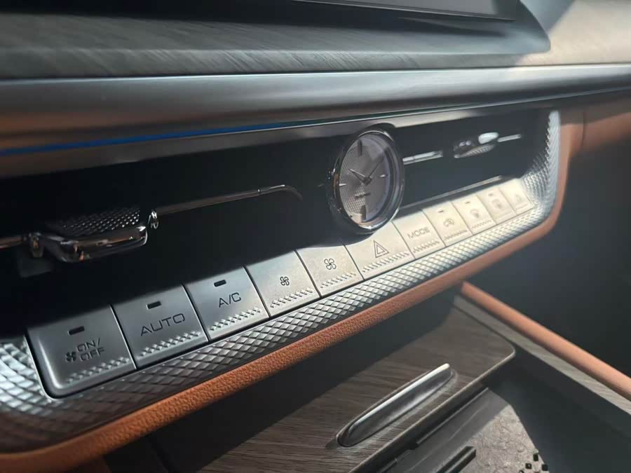 Tank 500 New Energy 2024 car image #21